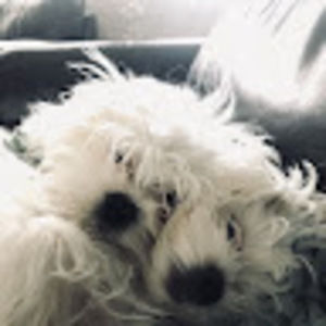 Meet your Posher, Kelli casey